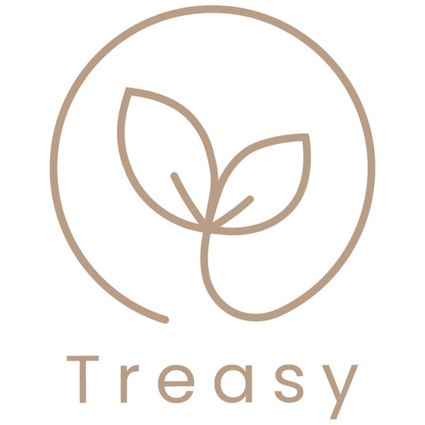 TreasyStore